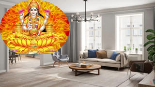 Dog Facts : కుక్కలు తలుపు దగ్గరే ఎందుకు పడుకుంటాయి?.. వీటి ప్రవర్తన వెనక అసలు కారణం ఇదే