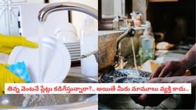 తిన్న ప్లేట్లు కడిగేస్తున్నారా?.. అయితే మీరు మామూలు వ్యక్తి కాదు