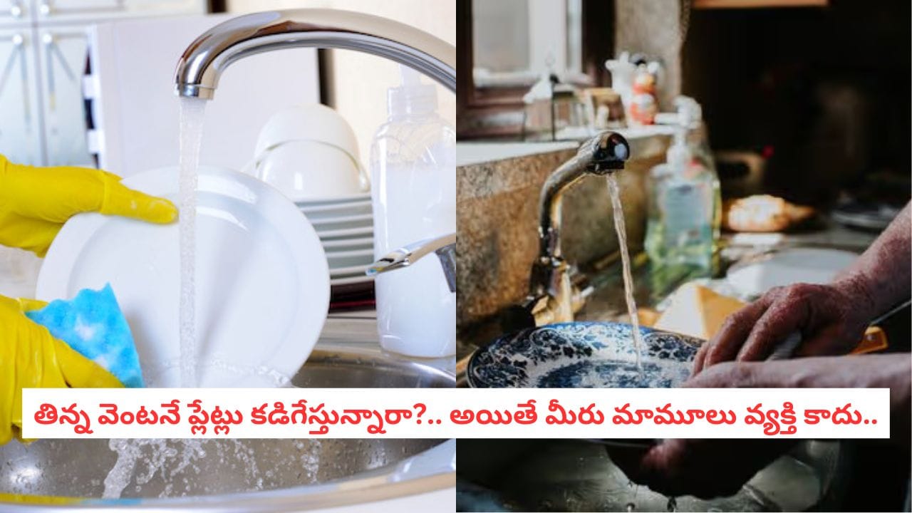 Success Habits: తిన్న వెంటనే ప్లేటు కడిగేస్తున్నారా? 90 శాతం మందికి తెలియని మీలోని 'సూపర్ పవర్' ఇదే!