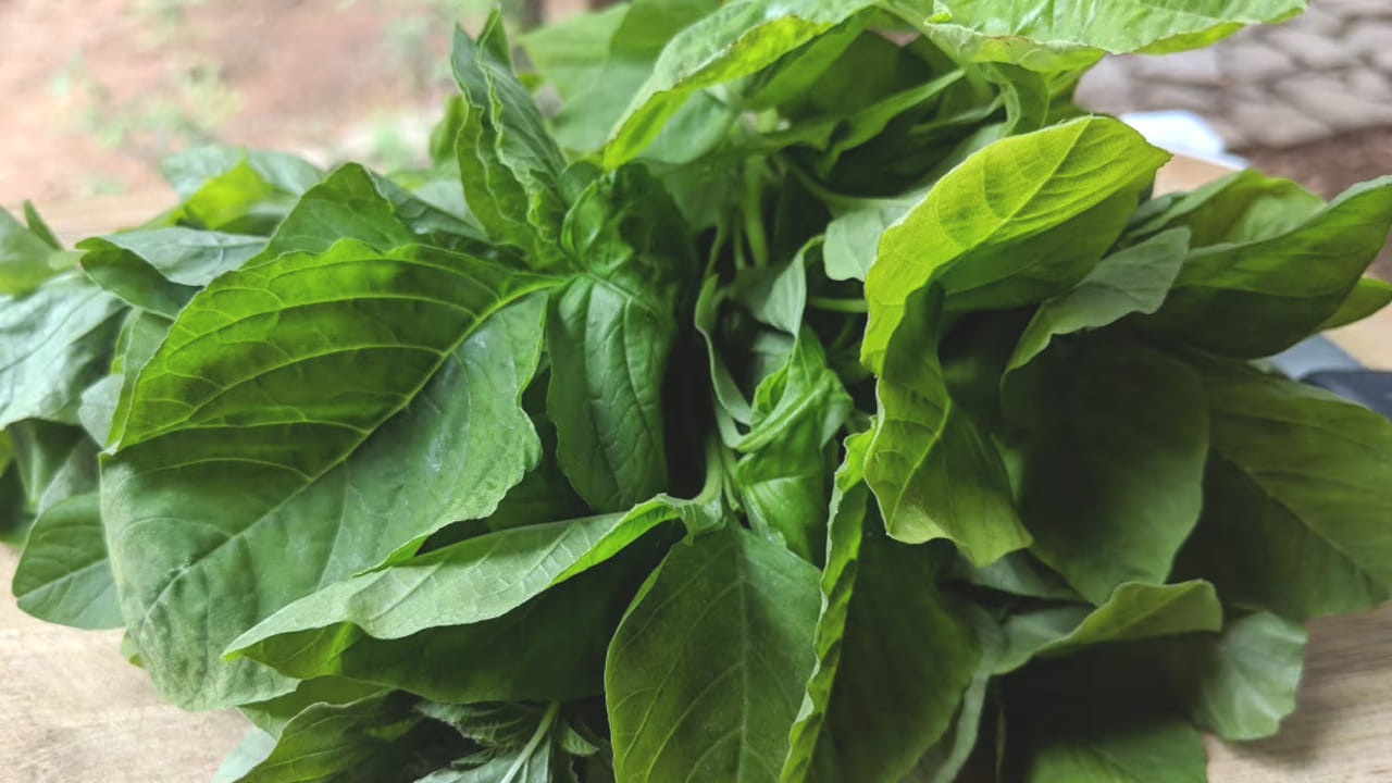 మీరు ఉదయం  చికెన్, మటన్ తిని సాయంత్రం ఆకుకూరలు తిన్నా కూడా ఆరోగ్యానికి ప్రమాదమే. కాబట్టి, వీటిని ఇలా కలిపి తీసుకోకపోవడమే మంచిది. ఎందుకంటే, రెంటింటిలో పోషకాలు ఎక్కువగా ఉంటాయి. జీర్ణం కావడానికి సమయం పడుతుంది. 