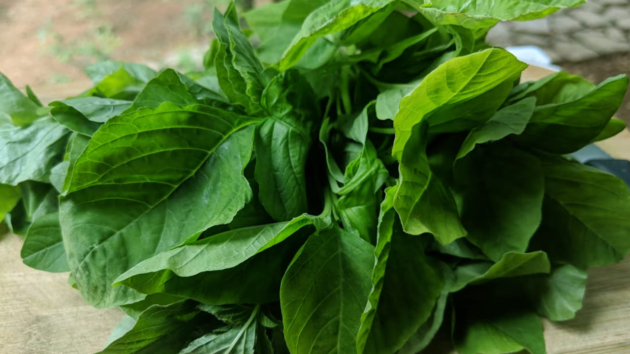 
ఎప్పుడూ నాన్ వెజ్ కాకుండా ఆకు కూరలు కూడా తినండి. ఇది రక్త హీనత సమస్యలకు చెక్ పెడుతుంది. అయితే, వాటిలో పాల కూరను తింటే  రక్తం పెరుగుతుంది. కాబట్టి, దీనిని మీ ఫుడ్ డైట్ లో చేర్చుకోండి.