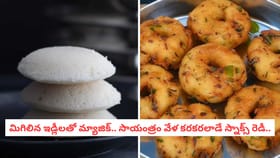 మిగిలిన ఇడ్లీలతో మ్యాజిక్.. సాయంత్రం వేళ కరకరలాడే స్నాక్స్ రెడీ