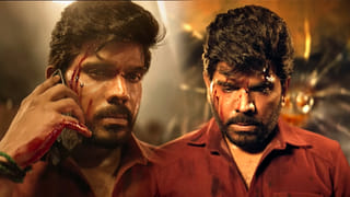 Chiranjeevi: మెగాస్టార్ చిరంజీవి సినిమాలో 1000 కోట్ల సినిమా హీరోయిన్.. ఈ అమ్మడి క్రేజ్ మాములుగా లేదుగా..