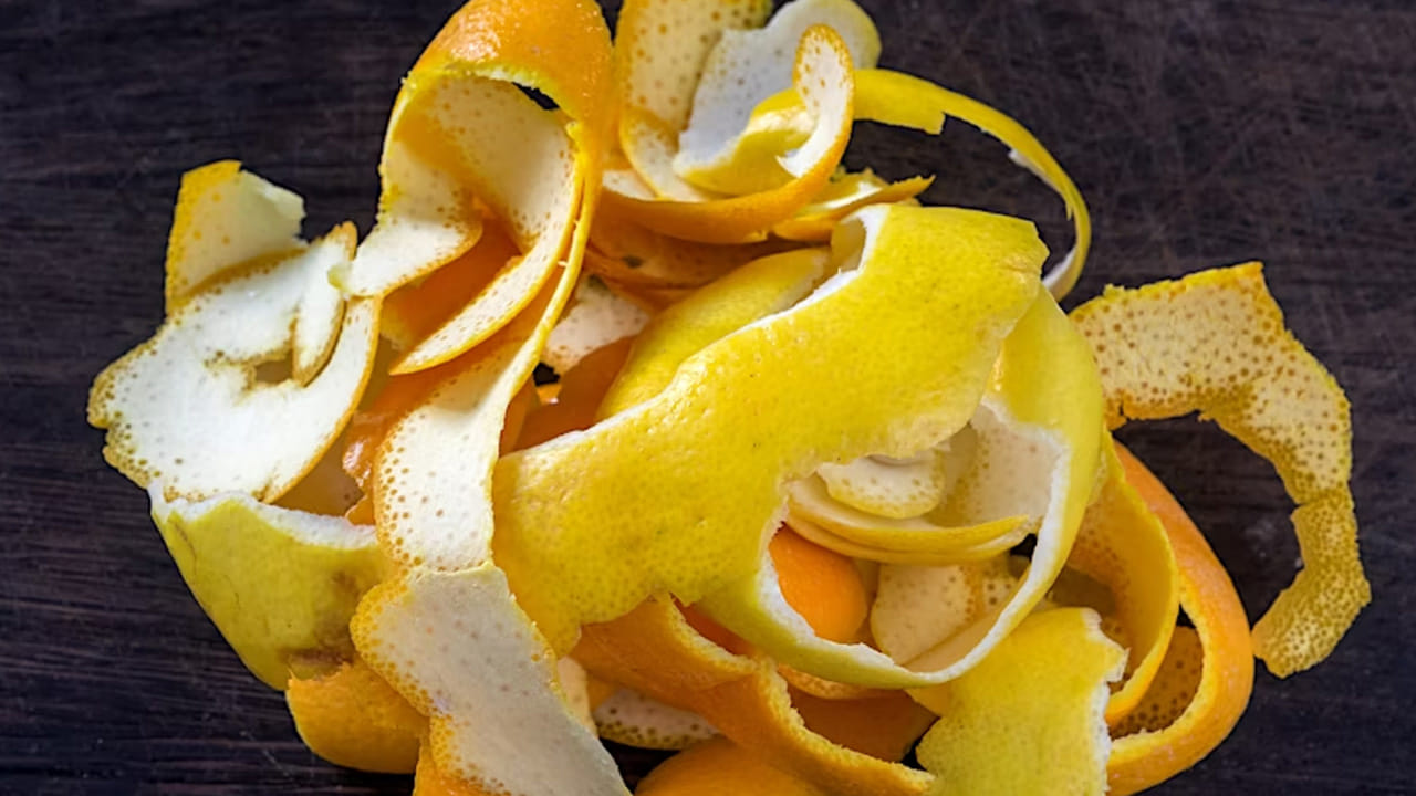 నిమ్మ తొక్కలో అనేక యాంటీమైక్రోబయల్, యాంటీ ఫంగల్ లక్షణాలు ఉండవచ్చు. టెస్ట్-ట్యూబ్ పరిశోధన ప్రకారం నిమ్మ తొక్క సారం చర్మపు ఫంగల్ ఇన్ఫెక్షన్లకు కారణమయ్యే యాంటీబయాటిక్-నిరోధక బ్యాక్టీరియాతో పోరాడుతుంది. అయితే, ఈ విషయంపై మరింత పరిశోధన అవసరం. నిమ్మ తొక్క సారం దాని ఫ్లేవనాయిడ్ మరియు విటమిన్ సి కంటెంట్ కారణంగా మీ రోగనిరోధక శక్తిని బలపరుస్తుంది. 82 అధ్యయనాల సమీక్ష ప్రకారం, రోజుకు 1-2 గ్రాముల విటమిన్ సి తీసుకోవడం వల్ల పెద్దలలో 8శాతం, పిల్లలలో 14శాతం తీవ్రమైన జలుబు లక్షణాల ప్రమాదాన్ని తగ్గించవచ్చు.