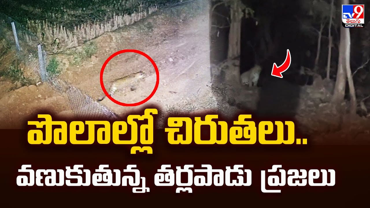 పొలాల్లో చిరుతలు.. వణుకుతున్న తర్లపాడు ప్రజలు పొలాల్లో చిరుతలు.. వణుకుతున్న తర్లపాడు ప్రజలు