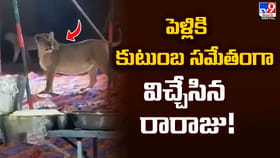 పెళ్లికి కుటుంబ సమేతంగా విచ్చేసిన రారాజు.. అతిథులు భయంతో..