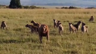 Traffic Signals: MNL, VAC, ATC… ఈ ట్రాఫిక్ సిగ్నల్‌లు మీకేం చెబుతున్నాయి?