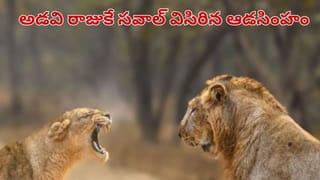 ఉత్తరాఖండ్‌లో పుట్టి, నేపాల్‌తో సహజ సరిహద్దుగా ప్రవహించే నల్ల నది రహస్యం ఏంటో తెలుసా..?