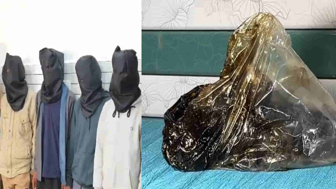 Andhra Pradesh: అడవిలోనే గంజాయి ఫ్యాక్టరీ.. పోలీసులకే షాకిచ్చిన లిక్విడ్ గ్యాంగ్..