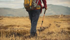 ఓడలు, విమానాలు లేకుండా ప్రపంచ యాత్ర.. భూగోళంపై మ్యాజిక్