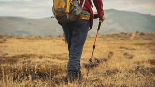 బీచ్ నుండి ఈ వస్తువులను పొరపాటున కూడా ఇంటికి తీసుకురాకండి.. ఎందుకో తెలుసా?