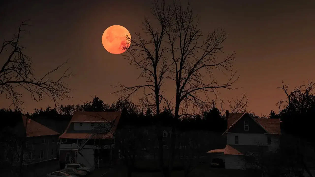 గర్భిణీలు గ్రహణ సమయంలో పదునైన వస్తువులను ఉపయోగించడం అస్సలే మంచిది కాదు. ముఖ్యంగా కూరగాయలు కట్ చేయడం, ఫ్రూట్స్ కట్ చేసుకొని తినడం వంటి పనులు అస్సలే చేయకూడదంట. అదే విధంగా బయట నిల్చొని గ్రహణాన్ని చూడటం కూడా అస్సలే మంచిది కాదు అని చెబుతున్నారు పండితులు.