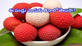 వేసవి స్పెషల్ ఫ్రూట్‌..మీరు ఎప్పుడైనా తిన్నారా? ఈ లాభాలు తెలిస్తే