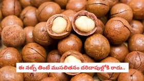 ఈ నట్స్ తింటే ముసలితనం దరిదాపుల్లోకి రాదు..