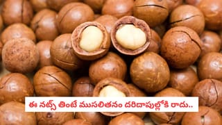 ఇంటి గోడపై ఈ పెయింటింగ్ ఉంటే అదృష్టం మీ వెంటే.. డబ్బు వర్షం కురుస్తుందట!