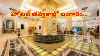 జోక్‌ కాదు…వైద్య చరిత్రలో సరికొత్త అధ్యాయం.. పిరుదుల శ్వాసతో మనిషికి ఊపిరి..!