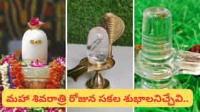 మహాశివరాత్రి నాడు ఏ శివలింగాన్ని పూజిస్తే ఎలాంటి ఫలితం వస్తుందంటే