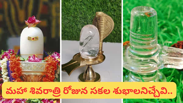 మహా శివరాత్రి.. ఈరోజు ఏ శివ లింగాన్ని పూజ చేస్తే ఎలాంటి ఫలితం వస్తుందో తెలుసా..?