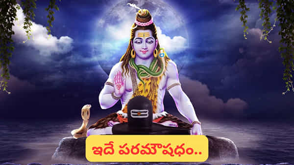 మహా శివరాత్రి.. భక్తి, భక్తుడు ఎలా ఉండాలంటే..? చాగంటి అద్భుత ప్రవచనం.. మిస్సవద్దు..!
