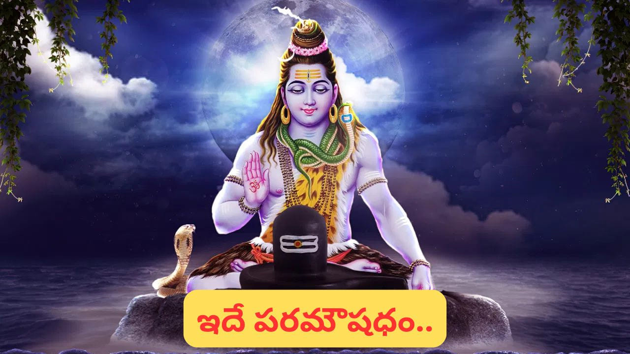 మహా శివరాత్రి.. భక్తి, భక్తుడు ఎలా ఉండాలంటే..? చాగంటి అద్భుత ప్రవచనం.. మిస్సవద్దు..!