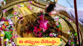 Cattle: థ్యాంక్యూ సార్స్.. ఆవు దూడ విధి రాతను మార్చిన పశువైద్యులు..