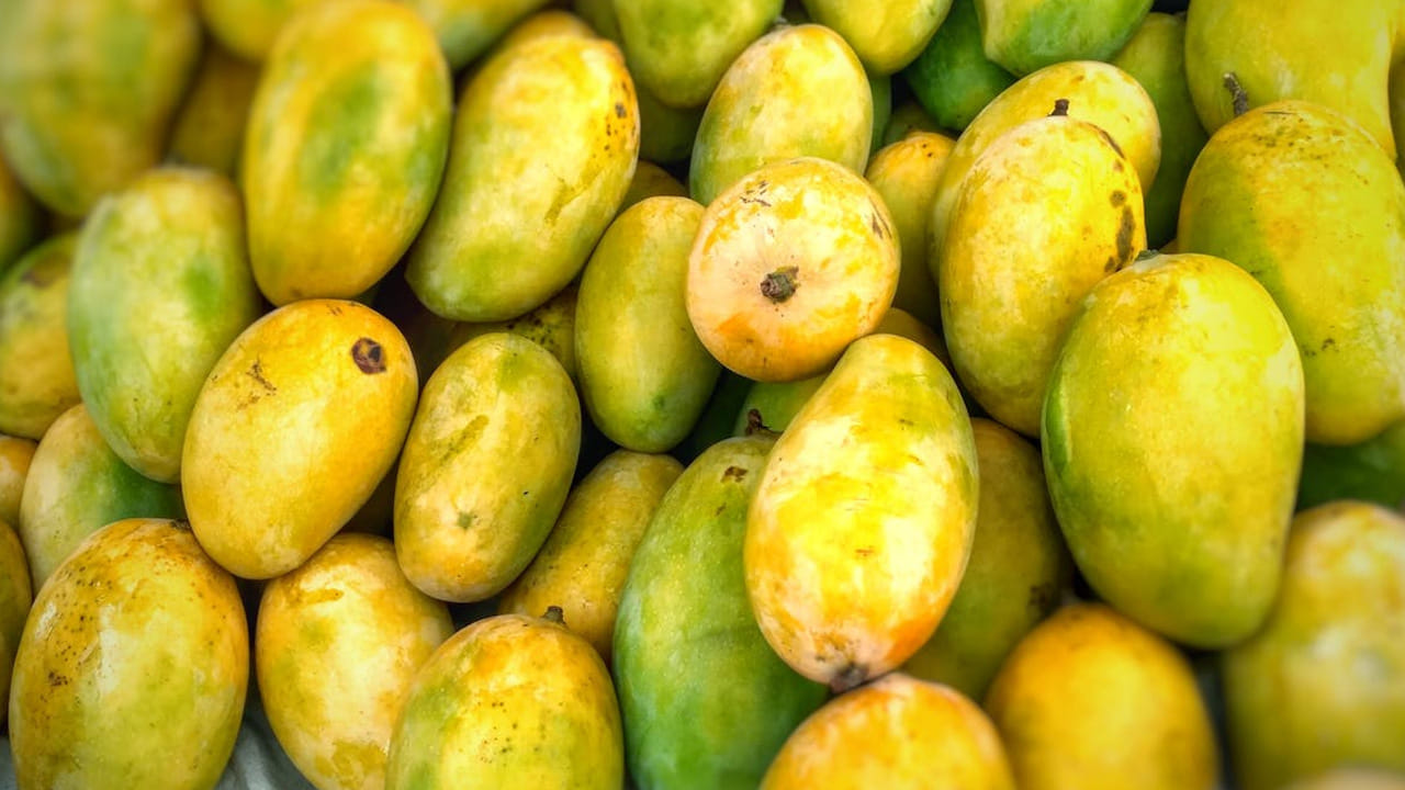  అమ్మాయిల్లో కొందరికి మామిడి పండ్లు తిన్న వెంటనే మొటిమలు, నల్లని మచ్చలు వస్తాయి. ఇలాంటి వాళ్ళు మామిడి పండ్లకు ఎంత దూరం ఉంటే అంత మంచిది. అలాగే, అలర్జీలు కూడా వచ్చే ఛాన్స్ ఉంది.