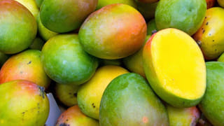 Train Travel Tips: రిజర్వేషన్ ఉన్నా సీటు ఖాళీ చేయడం లేదా?.. ఇలా చేస్తే వెంటనే పారిపోతారు..