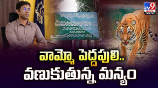 అర్ధరాత్రి లాడ్జిలో  మంటలు.. 33 మంది..