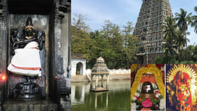 పార్వతీదేవి స్వయంగా ప్రతిష్ఠించిన శివలింగం.. ఈ ఆలయం ఎక్కడ ఉందంటే