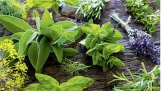 ఇల్లు శుభ్రం చేస్తున్నారా..? అయితే ఇది పక్కా తెలుసుకోండి.. లేకపోతే డేంజర్..