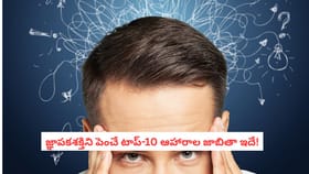 జ్ఞాపకశక్తిని పెంచే టాప్-10 ఆహారాల జాబితా ఇదే!