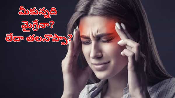 Migraine vs Headache: మీకున్నది మైగ్రేనా? లేదా సాధారణ తలనొప్పా.. గుర్తించడం ఎలా?