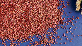 మిల్లెట్స్ తో ఎలాంటి సమస్యలైన తరిమికొట్టచ్చని తెలుసా?