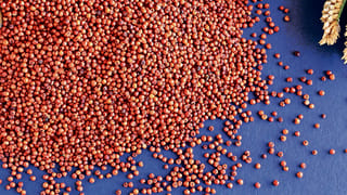 బార్బతి కర్రీ ఇలా చేసి తింటే.. టేస్ట్ నెక్స్ట్ లెవెల్ అంతే!