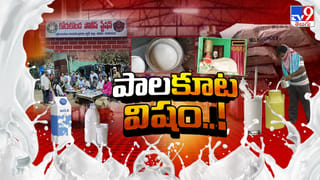 కోడిగుడ్డుని మించి ప్రొటీన్ ఇచ్చే దేశీ టిఫిన్స్ ఇవే! జిమ్‌కు వెళ్లేవారు తింటే కండరాల పుష్టి గ్యారెంటీ!