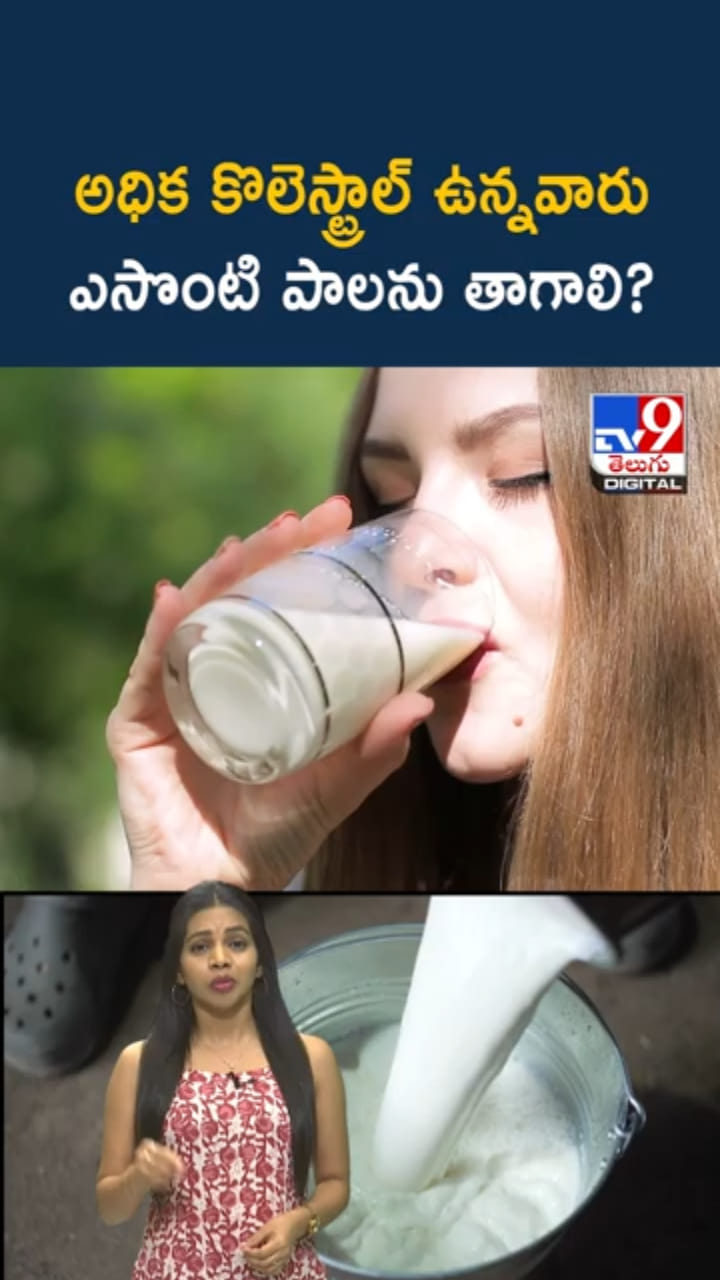 Milk: అధిక కొలెస్ట్రాల్ ఉన్నవారు ఎలాంటి పాలు తాగాలి..?