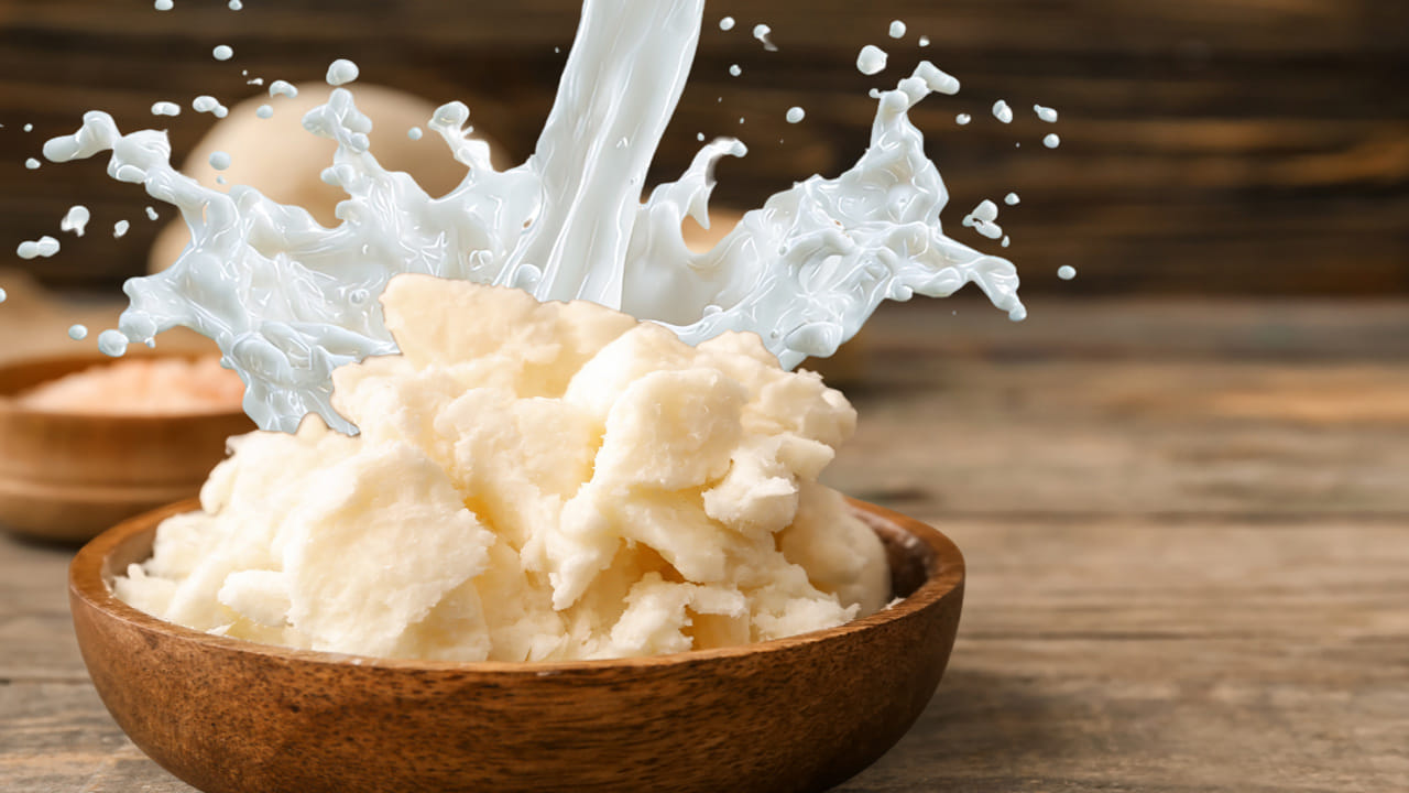 పాలు కేవలం పానీయం మాత్రమే కాదు శరీరానికి సూపర్ ఫుడ్ కూడా. పిల్లల పెరుగుదల నుంచి వృద్ధుల ఎముకలను బలంగా ఉంచడం వరకు పాలు ముఖ్యమైన పాత్ర పోషిస్తాయి. అయితే కొంతమంది పాలు అస్సలు ముట్టుకోరు. 