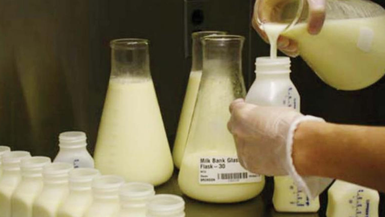  సర్ఫ్, సబ్బు లేదా నూనెల కల్తీ: పాలను మరిగించినప్పుడు పసుపు రంగులోకి మారితే, అందులో సర్ఫ్, సబ్బు లేదా ఇతర నూనె పదార్థాలు కలిసినట్లు సూచిస్తుంది. స్వచ్ఛమైన పాలు మరిగించినప్పుడు రంగు మారవు.