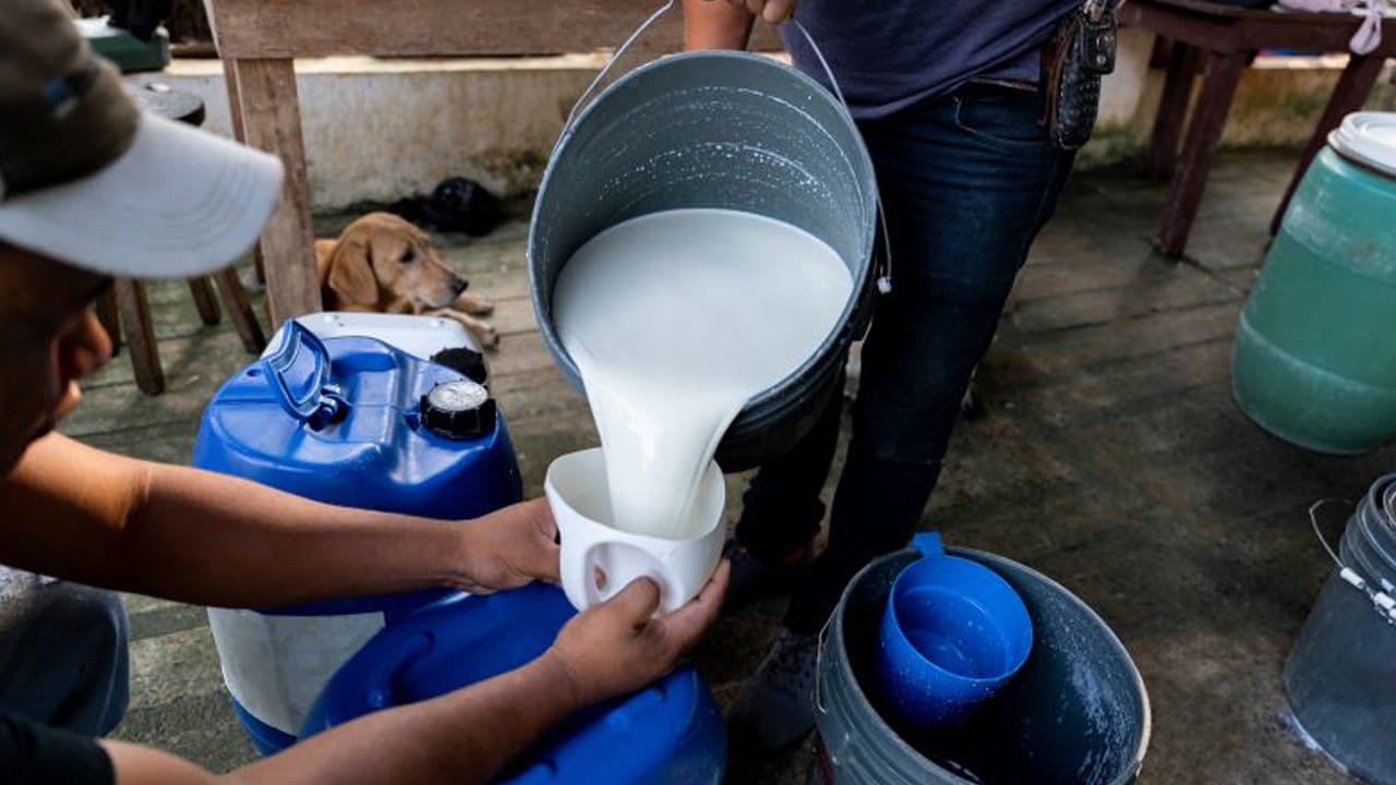 మనం నిత్యం ఉపయోగించే వాటిల్లో పాలు ఒకటి. కానీ, ఇటీవల కాలంలో పాలలో కల్తీ పెరిగిపోవడంతో ప్రజల ఆరోగ్యంపై తీవ్ర ప్రభావం పడుతోంది. ఈ పరిస్థితిలో, మనం కొనే పాలు స్వచ్ఛమైనవో కావో ఇంట్లోనే గుర్తించడం చాలా అవసరం. కొన్ని సులభమైన చిట్కాల ద్వారా కల్తీ పాలను ఎలా గుర్తించాలో తెలుసుకుందాం.