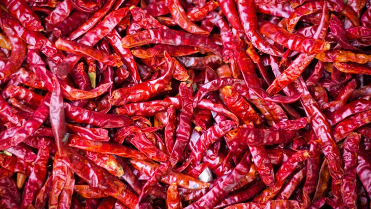 Chilli Prices: ఈసారి పంట పండినట్లే.. పసిడితో పోటీపడుతున్న ఎర్ర బంగారం ధరలు.. క్వింటా ఎంతంటే..