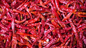 పసిడితో పోటీపడుతున్న ఎర్ర బంగారం ధరలు.. క్వింటా ఎంతంటే..