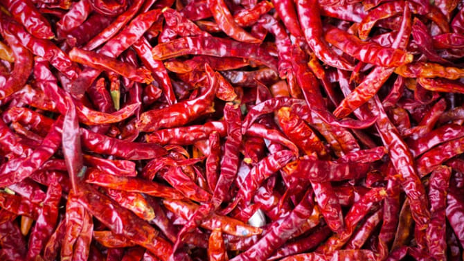 పసిడితో పోటీపడుతున్న ఎర్ర బంగారం ధరలు.. క్వింటా ఎంతంటే..