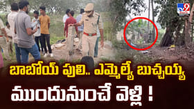 బాబోయ్‌ పులి.. ఎమ్మెల్యే బుచ్చయ్య ముందునుంచే వెళ్లి