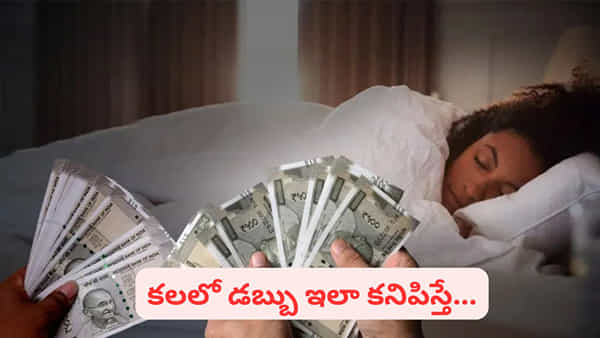 Dream Meaning: కలలో డబ్బు కనిపిస్తే శుభమా.. అశుభమా...? దేనికి సంకేతమో తెలుసా..?