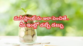 Baba Vanga: ప్రపంచం ఎప్పుడు అంతం అవుతుందో తెలుసా..? డేట్  చెప్పేసిన బాబా వంగా..!