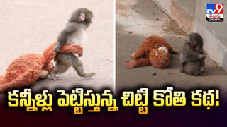 Actress Prathyusha Death: నా బిడ్డ దుస్తులను ఆస్పత్రి వాళ్లు కాల్చేశారు: ప్రత్యూష తల్లి