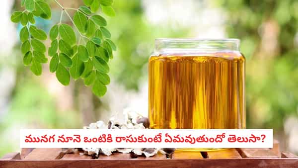 Moringa Oil: అమ్మమ్మల కాలం నాటి రెమిడీ.. రెండు చుక్కల మునగ నూనెతో ఇన్ని ప్రయోజనాలా?