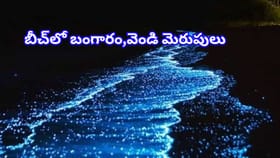 ఈ బీచ్‌లో వెండి,బంగారు మెరుపులు! జీవితంలో ఒక్కసారైనా చూడాల్సిందే