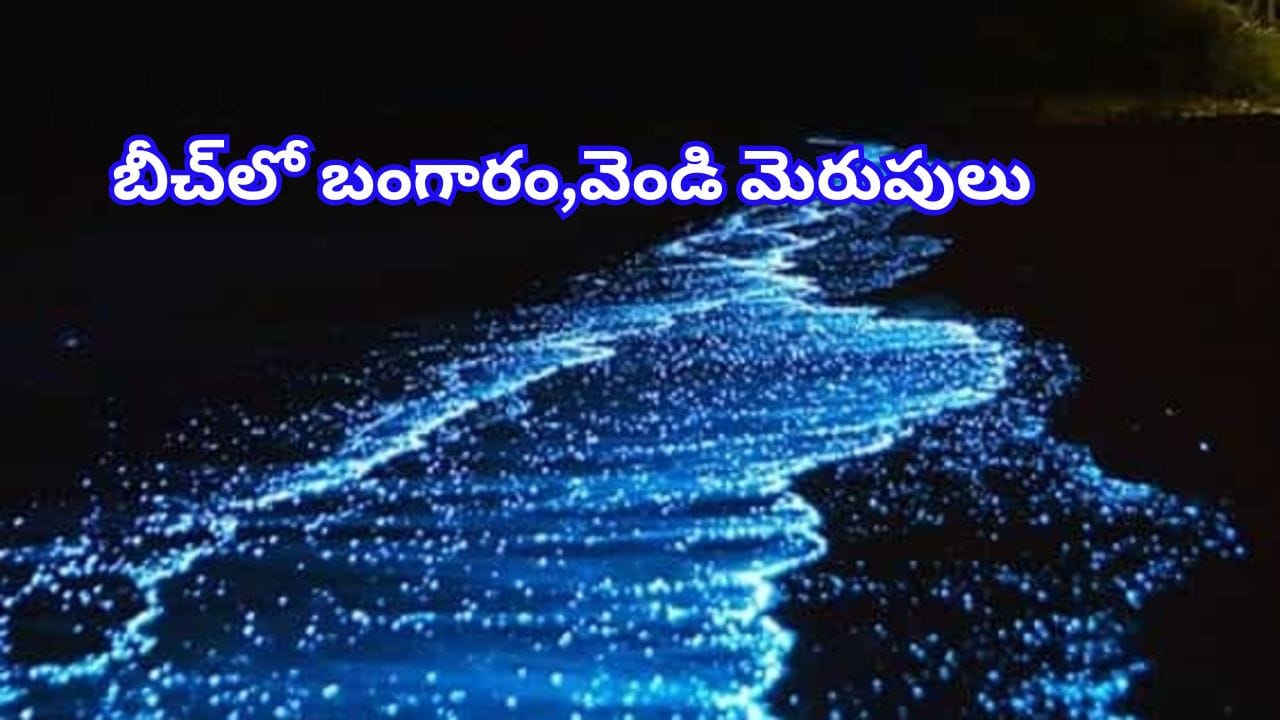 ఈ బీచ్లో వెండి, బంగారు మెరుపులు..! జీవితంలో ఒక్కసారైనా చూడాల్సిన అందాలు..ఎక్కడో తెలిస్తే..