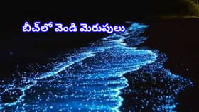 ఈ బీచ్‌లో వెండి,బంగారు మెరుపులు! జీవితంలో ఒక్కసారైనా చూడాల్సిందే
